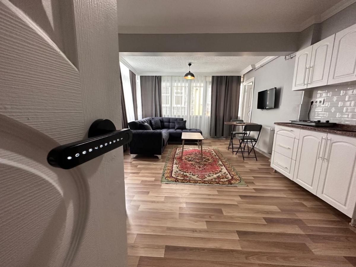 Modern Apart Close To Blue Mosque And Hagia Sophia Old City Istanbul Eksteriør bilde